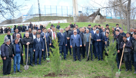 DAŞKƏSƏN RAYONUNDA “HEYDƏR ƏLİYEV İLİ” ÇƏRÇİVƏSİNDƏ NÖVBƏTİ AĞACƏKMƏ AKSİYASI KEÇİRİLİB