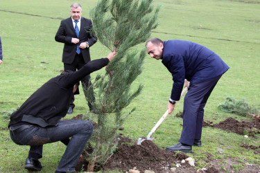 Daşkəsən rayonunun Xoşbulaq kəndində "Yaşıl dünya naminə həmrəylik ili" çərçivəsində  ağacəkmə aksiyası keçirilib