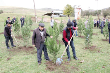 Daşkəsən rayonunun Dəvrallı kəndində "Yaşıl dünya naminə həmrəylik ili" çərçivəsində  ağacəkmə aksiyası keçirilib