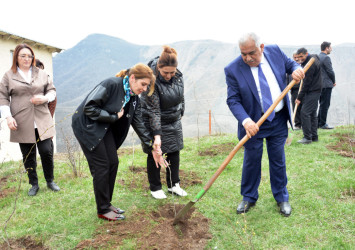 DAŞKƏSƏN RAYON MƏHKƏMƏSİ “HEYDƏR ƏLİYEV İLİ” ÇƏRÇİVƏSİNDƏ AĞACƏKMƏ AKSİYASI KEÇİRİB