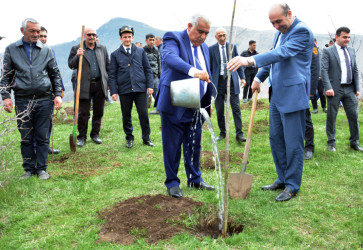 DAŞKƏSƏN RAYON MƏHKƏMƏSİ “HEYDƏR ƏLİYEV İLİ” ÇƏRÇİVƏSİNDƏ AĞACƏKMƏ AKSİYASI KEÇİRİB