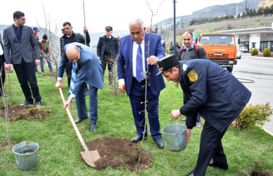 DAŞKƏSƏN RAYON MƏHKƏMƏSİ “HEYDƏR ƏLİYEV İLİ” ÇƏRÇİVƏSİNDƏ AĞACƏKMƏ AKSİYASI KEÇİRİB