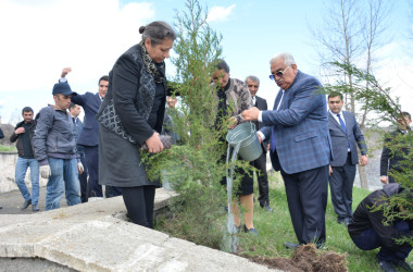 DAŞKƏSƏN RAYONUNDA “HEYDƏR ƏLİYEV İLİ” ÇƏRÇİVƏSİNDƏ NÖVBƏTİ AĞACƏKMƏ AKSİYASI KEÇİRİLİB