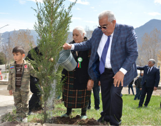 DAŞKƏSƏN RAYONUNDA “HEYDƏR ƏLİYEV İLİ” ÇƏRÇİVƏSİNDƏ NÖVBƏTİ AĞACƏKMƏ AKSİYASI KEÇİRİLİB