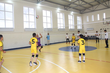 Daşkəsən rayonunun ümumtəhsil məktəbləri arasında "Yaşıl dünya naminə həmrəylik ili"nə həsr olunmuş  voleybol üzrə rayon birinciliyi keçirilib