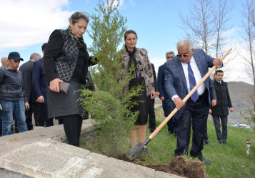 DAŞKƏSƏN RAYONUNDA “HEYDƏR ƏLİYEV İLİ” ÇƏRÇİVƏSİNDƏ NÖVBƏTİ AĞACƏKMƏ AKSİYASI KEÇİRİLİB