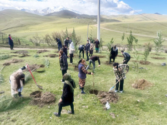 Daşkəsən rayonunda “Yaşıl dünya naminə həmrəylik ili” çərçivəsində çoxsaylı ağacəkmə aksiyaları təşkil olunub