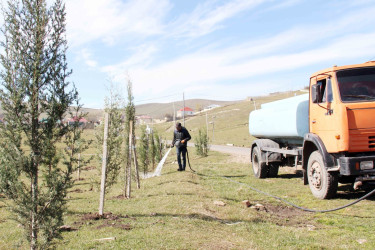 Daşkəsən rayonunda əkilmiş ağaclara və yaşıllıqlara qulluq göstərilir