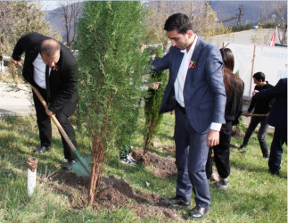 Daşkəsəndə 8 Noyabr – Zəfər Gününə həsr olunan ağacəkmə aksiyası keçirilib.