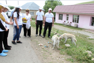 Daşkəsən rayonunun Xoşbulaq kəndində “Yaşıl dünya naminə həmrəylik ili” çərçivəsində əhali ilə ekoloji maarifləndirmə keçirilib