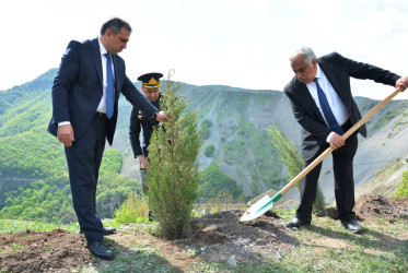 DAŞKƏSƏN RAYON POLİS ŞÖBƏSİ “HEYDƏR ƏLİYEV İLİ” ÇƏRÇİVƏSİNDƏ AĞACƏKMƏ AKSİYASI KEÇİRİB