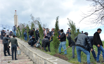 DAŞKƏSƏN RAYONUNDA “HEYDƏR ƏLİYEV İLİ” ÇƏRÇİVƏSİNDƏ NÖVBƏTİ AĞACƏKMƏ AKSİYASI KEÇİRİLİB