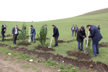 Daşkəsən rayonunun Xoşbulaq kəndində "Yaşıl dünya naminə həmrəylik ili" çərçivəsində  ağacəkmə aksiyası keçirilib