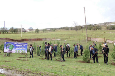 Daşkəsən rayonunun Dəvrallı kəndində "Yaşıl dünya naminə həmrəylik ili" çərçivəsində  ağacəkmə aksiyası keçirilib