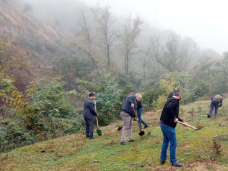 Daşkəsən rayon Bayan kəndində növbəti təmizlik aksiyası keçirilib