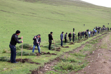 Daşkəsən rayonunun Xoşbulaq kəndində "Yaşıl dünya naminə həmrəylik ili" çərçivəsində  ağacəkmə aksiyası keçirilib