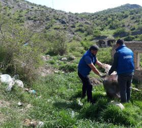 “Yaşıl dünya naminə həmrəylik ili” çərçivəsində  Daşkəsən qəsəbəsində təmizlik aksiyası keçirilib