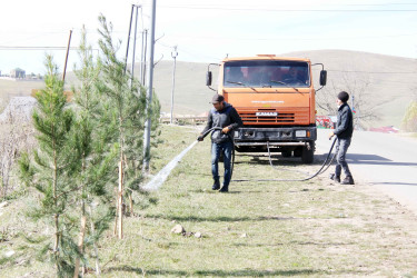 Daşkəsən rayonunda əkilmiş ağaclara və yaşıllıqlara qulluq göstərilir