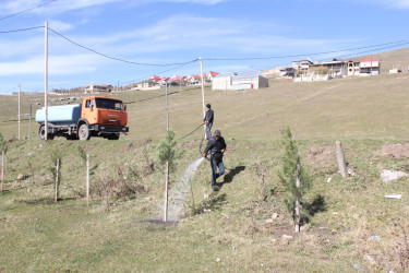 Daşkəsən rayonunda əkilmiş ağaclara və yaşıllıqlara qulluq göstərilir