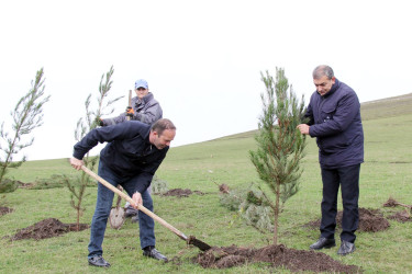 Daşkəsən rayonunun Xoşbulaq kəndində "Yaşıl dünya naminə həmrəylik ili" çərçivəsində  ağacəkmə aksiyası keçirilib