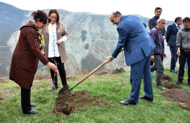 DAŞKƏSƏN RAYON MƏHKƏMƏSİ “HEYDƏR ƏLİYEV İLİ” ÇƏRÇİVƏSİNDƏ AĞACƏKMƏ AKSİYASI KEÇİRİB