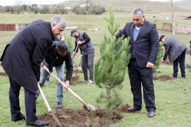 Daşkəsən rayonunun Dəvrallı kəndində "Yaşıl dünya naminə həmrəylik ili" çərçivəsində  ağacəkmə aksiyası keçirilib