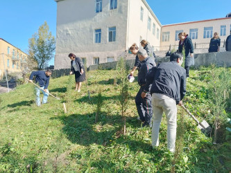 Daşkəsəndə “Yaşıl dünya naminə həmrəylik ili” çərçivəsində növbəti ümumrayon iməciliyi keçirilib və əhali arasında ekoloji maarifləndirmə aparılıb