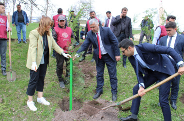 DAŞKƏSƏN RAYONUNDA “HEYDƏR ƏLİYEV İLİ” ÇƏRÇİVƏSİNDƏ NÖVBƏTİ AĞACƏKMƏ AKSİYASI KEÇİRİLİB