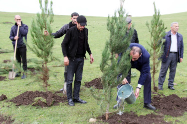 Daşkəsən rayonunun Xoşbulaq kəndində "Yaşıl dünya naminə həmrəylik ili" çərçivəsində  ağacəkmə aksiyası keçirilib