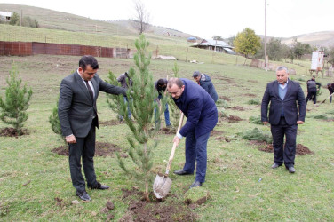 Daşkəsən rayonunun Dəvrallı kəndində "Yaşıl dünya naminə həmrəylik ili" çərçivəsində  ağacəkmə aksiyası keçirilib