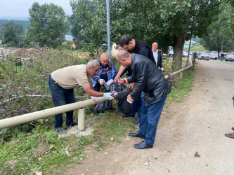 Daşkəsən rayonunda “Yaşıl dünya naminə həmrəylik ili” çərçivəsində  kütləvi təmiz aksiyası təşkil olunub