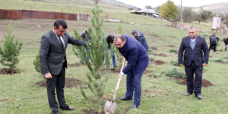 Daşkəsən rayonunun Dəvrallı kəndində "Yaşıl dünya naminə həmrəylik ili" çərçivəsində  ağacəkmə aksiyası keçirilib