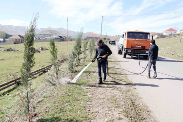 Daşkəsən rayonunda əkilmiş ağaclara və yaşıllıqlara qulluq göstərilir