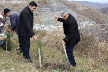 Daşkəsəndə “Heydər Əliyev İli” çərçivəsində növbəti ağacəkmə aksiyası keçirilib