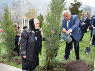 DAŞKƏSƏN RAYONUNDA “HEYDƏR ƏLİYEV İLİ” ÇƏRÇİVƏSİNDƏ NÖVBƏTİ AĞACƏKMƏ AKSİYASI KEÇİRİLİB