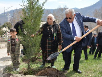 DAŞKƏSƏN RAYONUNDA “HEYDƏR ƏLİYEV İLİ” ÇƏRÇİVƏSİNDƏ NÖVBƏTİ AĞACƏKMƏ AKSİYASI KEÇİRİLİB