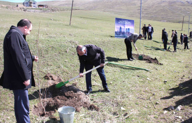 Daşkəsən rayonunda “Şəhərsalma və Memarlıq İli”nə həsr olunan ağacəkmə aksiyası keçirilib
