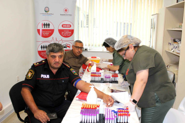 Daşkəsəndə növbəti qanvermə aksiyası keçirilib
