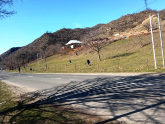 Daşkəsəndə “Şəhərsalma və Memarlıq İli” çərçivəsində iməclik təşkil olunub