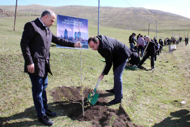 Daşkəsən rayonunda “Şəhərsalma və Memarlıq İli”nə həsr olunan ağacəkmə aksiyası keçirilib