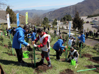 Daşkəsən rayonunda silsilə ağacəkmə aksiyaları keçirilib