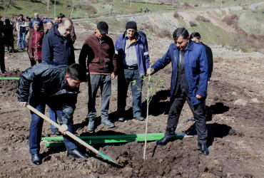 Daşkəsən rayonunda “Şəhərsalma və Memarlıq İli”nə həsr olunan növbəti ağacəkmə aksiyaları keçirilib