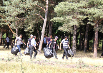 Daşkəsəndə növbəti ekoloji aksiya təşkil edilib