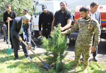 Daşkəsəndə 27 Sentyabr – Anım Gününə həsr olunan ağacəkmə aksiyası keçirilib
