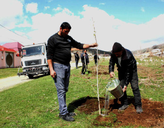 Daşkəsən rayonunda “Şəhərsalma və Memarlıq İli”nə həsr olunan növbəti ağacəkmə aksiyaları keçirilib