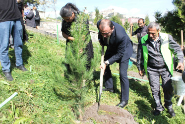 Daşkəsəndə 27 Sentyabr – Anım Gününə həsr olunan ağacəkmə aksiyası keçirilib