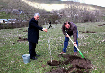 Daşkəsən rayonunda “Şəhərsalma və Memarlıq İli”nə həsr olunan növbəti ağacəkmə aksiyaları keçirilib