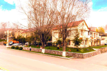 Daşkəsən şəhərində ekoloji təşəbbüs çərçivəsində dekorativ dibçəklər quraşdırılıb