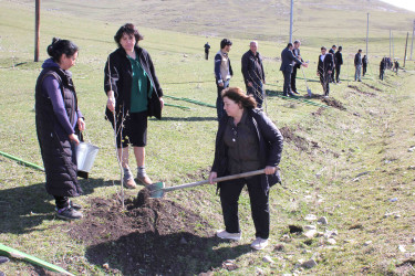 Daşkəsən rayonunda “Şəhərsalma və Memarlıq İli”nə həsr olunan ağacəkmə aksiyası keçirilib