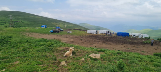 Daşkəsən Rayon İcra Hakimiyyətinin başçısı Orxan Abbasov heyvandarlıq təsərrüfatına baxış keçirib.